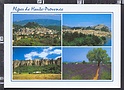 O9815 ALPES DE HAUTE PROVENCE SISTERON CHAMP DE LAVANDE 04